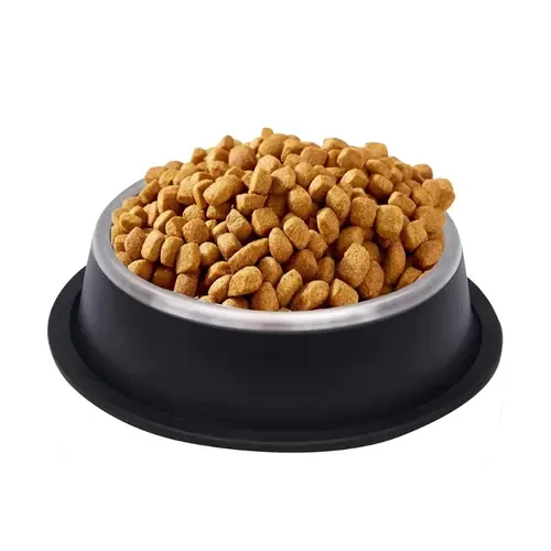Pet Feeding Bowl